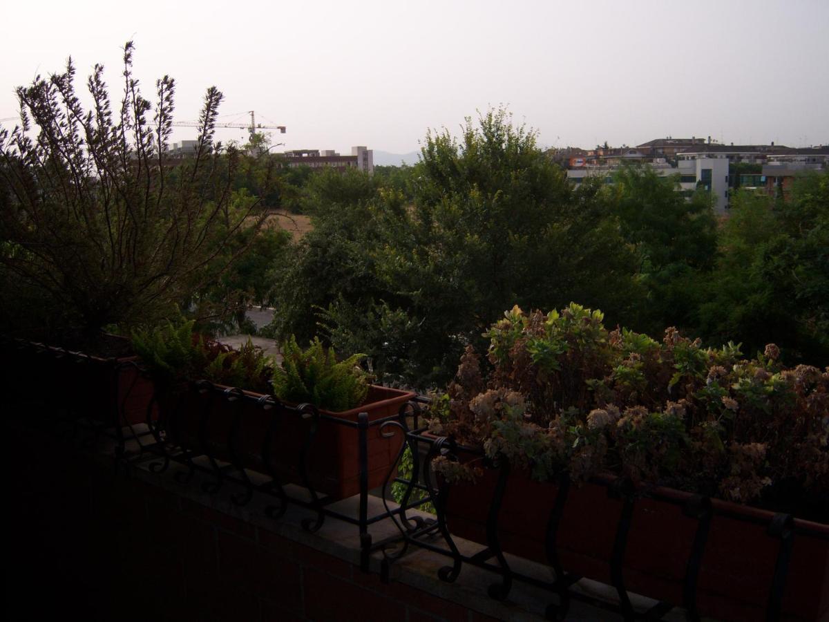 Appartamento Talenti House
